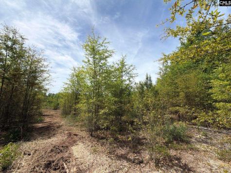 Rrf 6 Rogers Cemetery Road Salley SC 29137