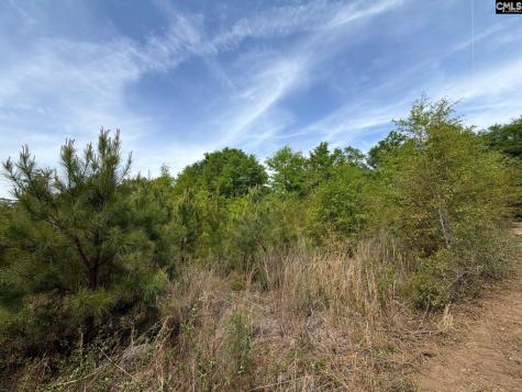 Rrf 6 Rogers Cemetery Road Salley SC 29137