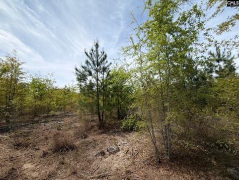 Rrf 6 Rogers Cemetery Road Salley SC 29137