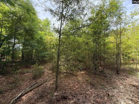 Rrf 6 Rogers Cemetery Road Salley SC 29137