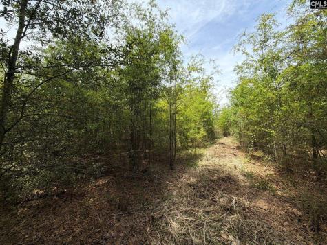 Rrf 6 Rogers Cemetery Road Salley SC 29137