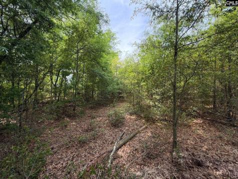 Rrf 6 Rogers Cemetery Road Salley SC 29137