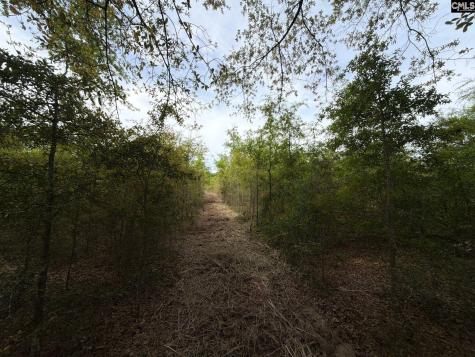 Rrf 6 Rogers Cemetery Road Salley SC 29137