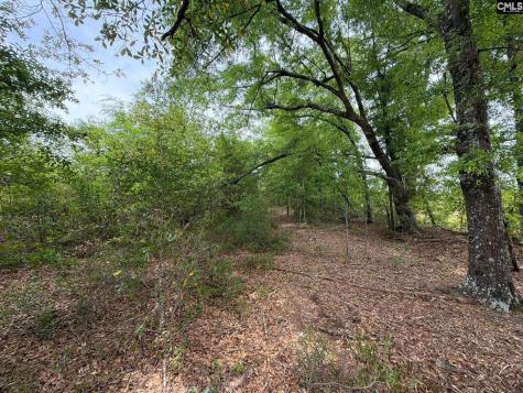 Rrf 6 Rogers Cemetery Road Salley SC 29137