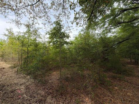 Rrf 6 Rogers Cemetery Road Salley SC 29137