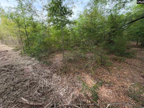 Rrf 6 Rogers Cemetery Road Salley SC 29137