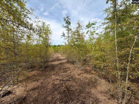 Rrf 6 Rogers Cemetery Road Salley SC 29137