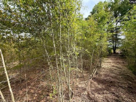 Rrf 6 Rogers Cemetery Road Salley SC 29137