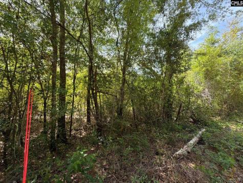 Rrf 6 Rogers Cemetery Road Salley SC 29137