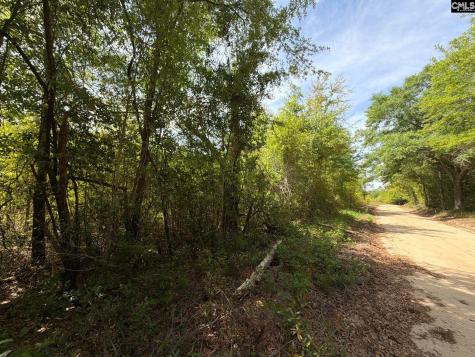 Rrf 6 Rogers Cemetery Road Salley SC 29137