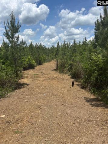Scf 5 Long Cane Road Scf 5 Edgefield SC 29824