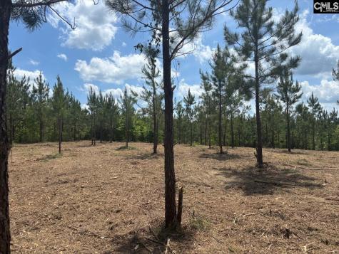 Scf 5 Long Cane Road Scf 5 Edgefield SC 29824