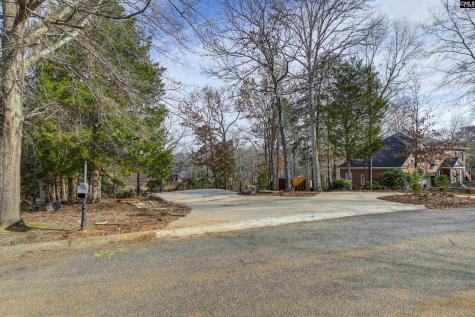 132 Laurel Branch Way Columbia SC 29212