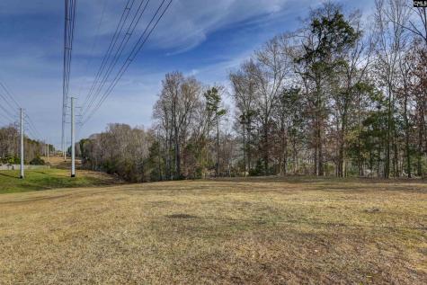 132 Laurel Branch Way Columbia SC 29212