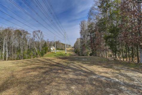 132 Laurel Branch Way Columbia SC 29212