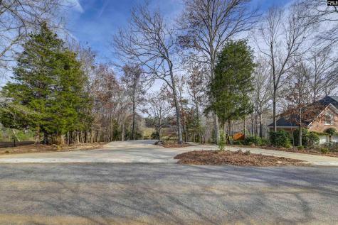 132 Laurel Branch Way Columbia SC 29212