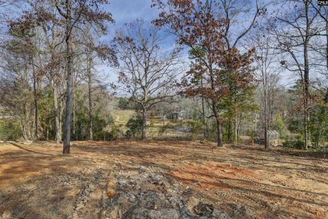 132 Laurel Branch Way Columbia SC 29212
