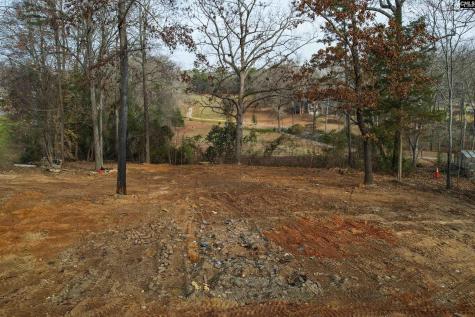 132 Laurel Branch Way Columbia SC 29212