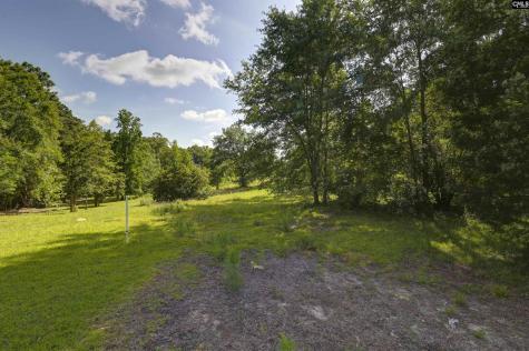 Nx 1057 Langford Road Blythewood SC 29106