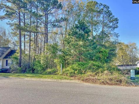 313 Downs Drive Columbia SC 29209