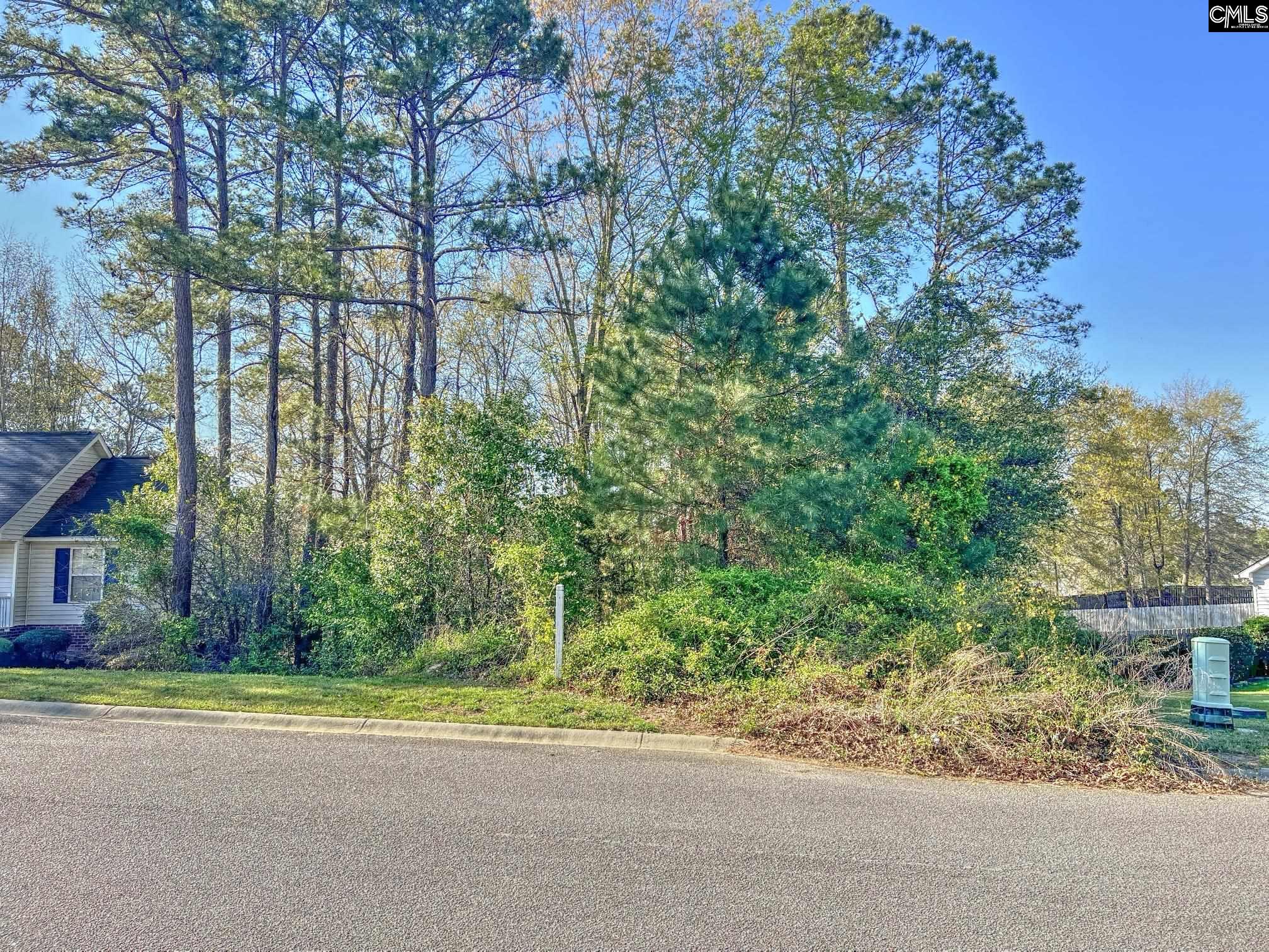 313 Downs Drive Columbia SC 29209