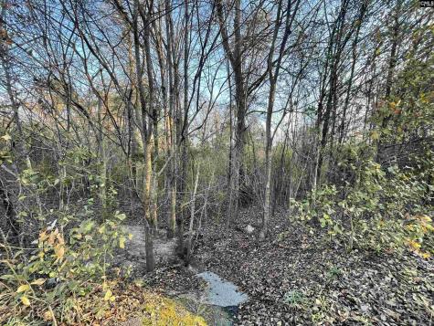 Lot 6-c Forest Circle New Ellenton SC 29809