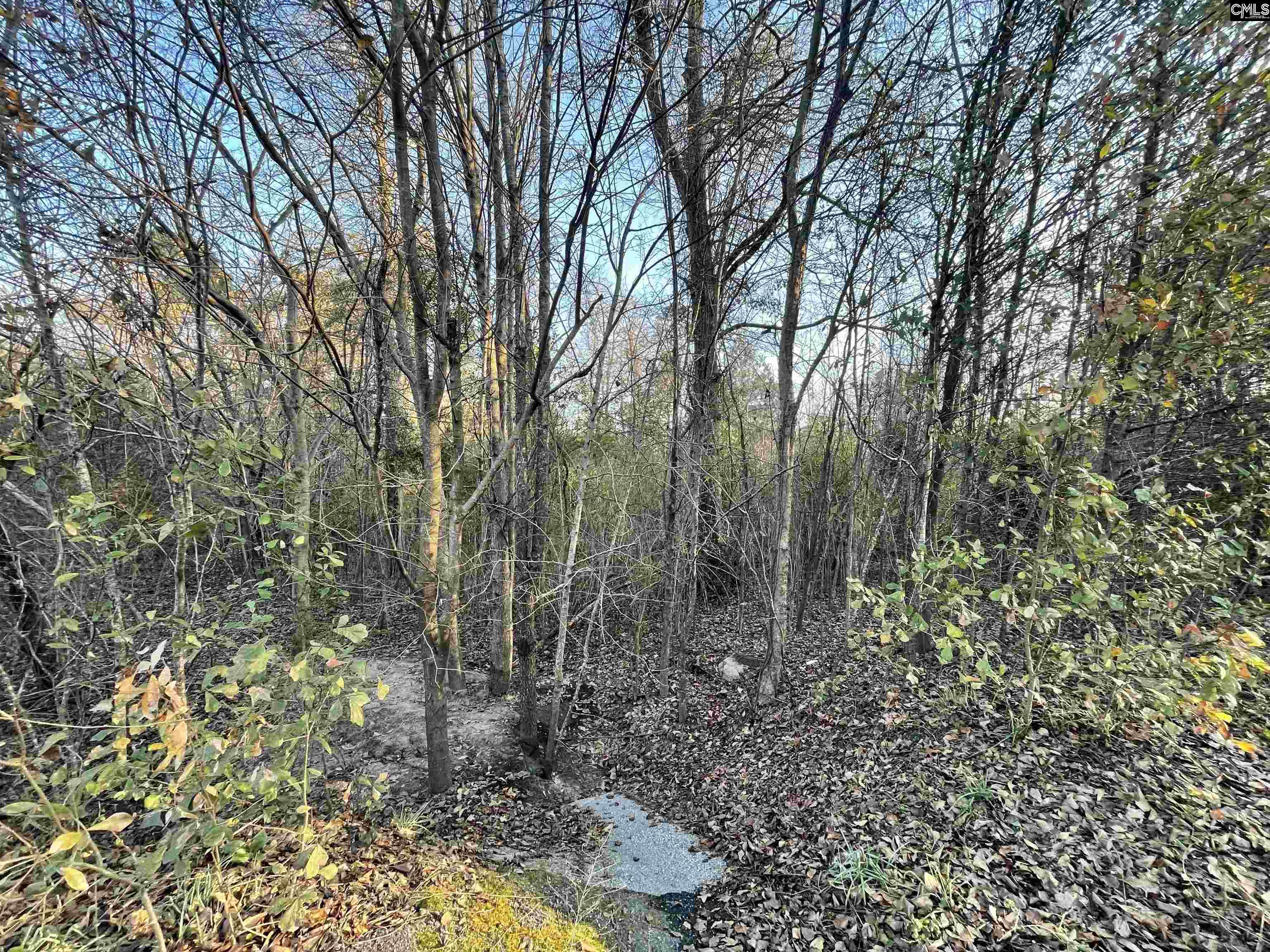 Lot 6-c Forest Circle New Ellenton SC 29809