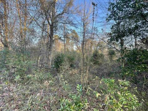 Lot 6-c Forest Circle New Ellenton SC 29809