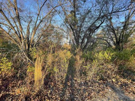 Lot 6-c Forest Circle New Ellenton SC 29809