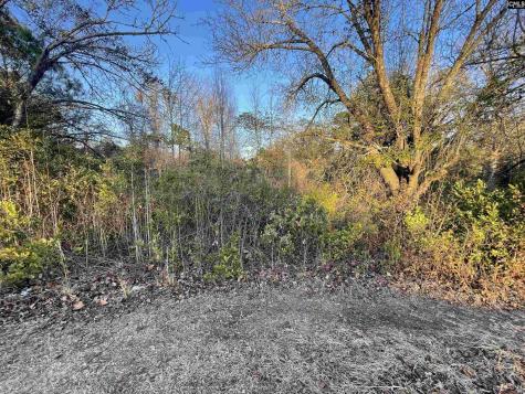 Lot 6-c Forest Circle New Ellenton SC 29809
