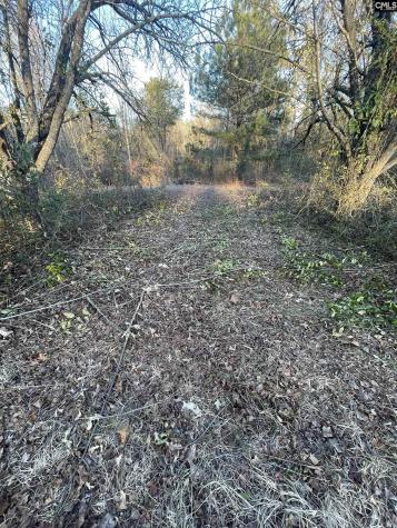 Lot 6-c Forest Circle New Ellenton SC 29809