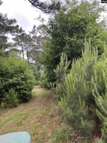 141B Coffin Point Road Saint Helena Island SC 29920