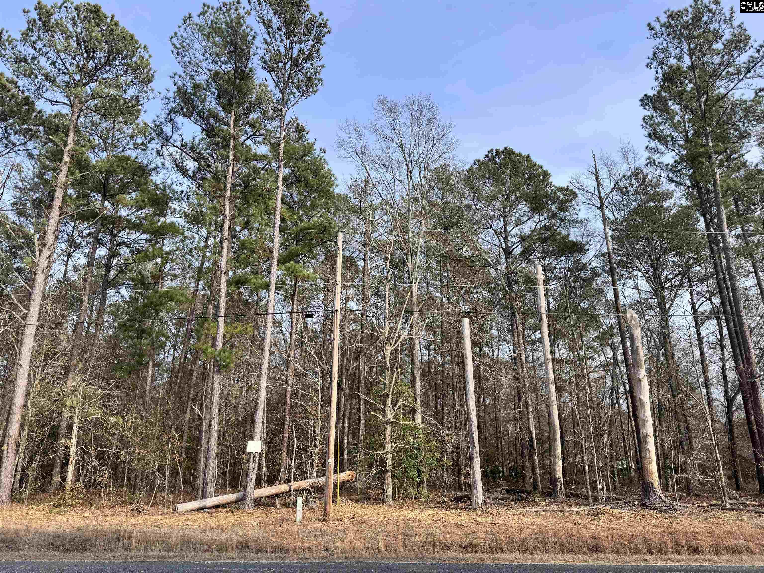 Tba E S Piney Branch Road Eastover SC 29044