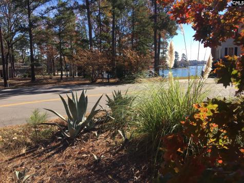 514 Shadowood Drive Irmo SC 29063