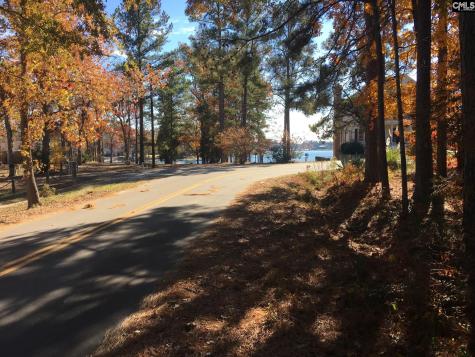 514 Shadowood Drive Irmo SC 29063