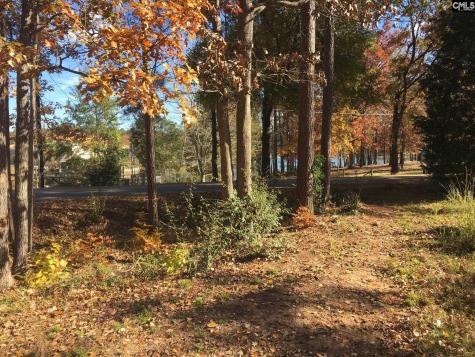 514 Shadowood Drive Irmo SC 29063