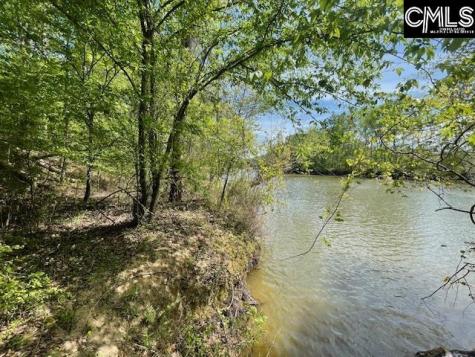 Lot 2 Highway 121 Silverstreet SC 29145