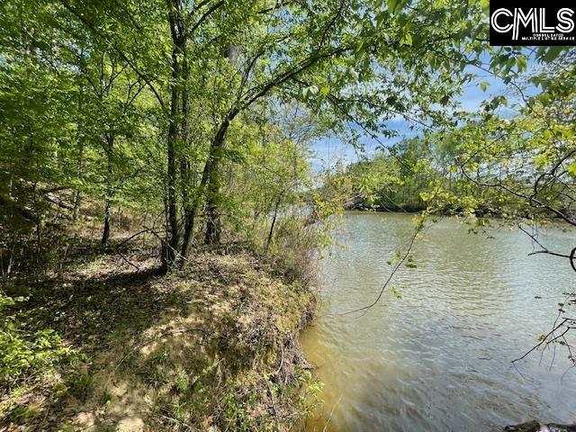 Lot 2 Highway 121 Silverstreet SC 29145
