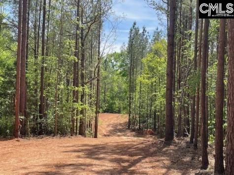 Lot 2 Highway 121 Silverstreet SC 29145