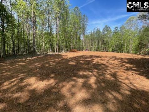 Lot 2 Highway 121 Silverstreet SC 29145