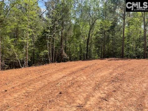 Lot 2 Highway 121 Silverstreet SC 29145