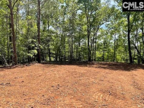 Lot 2 Highway 121 Silverstreet SC 29145
