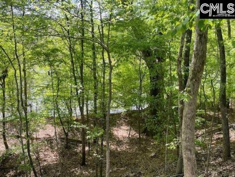 Lot 2 Highway 121 Silverstreet SC 29145