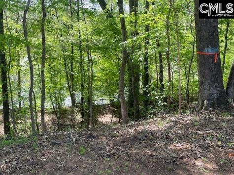 Lot 2 Highway 121 Silverstreet SC 29145