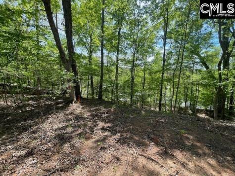 Lot 2 Highway 121 Silverstreet SC 29145
