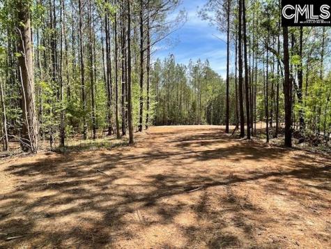 Lot 2 Highway 121 Silverstreet SC 29145