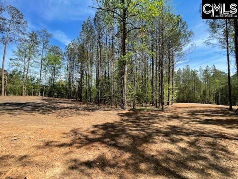 Lot 2 Highway 121 Silverstreet SC 29145