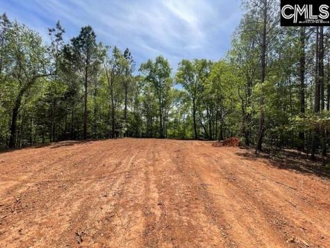 Lot 2 Highway 121 Silverstreet SC 29145