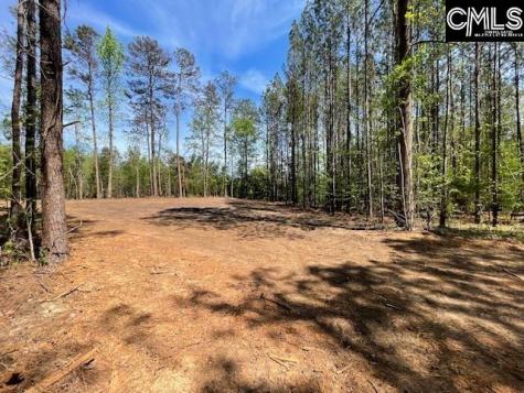 Lot 2 Highway 121 Silverstreet SC 29145