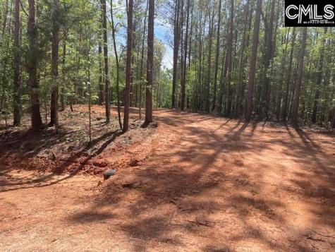 Lot 2 Highway 121 Silverstreet SC 29145